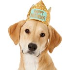 Frisco Happy Birthday Dog & Cat Crown, Medium/Large