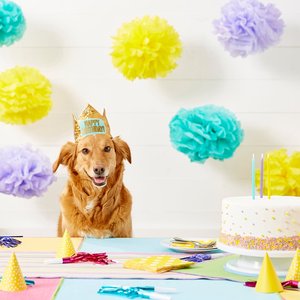 Frisco Happy Birthday Dog & Cat Crown, Medium/Large