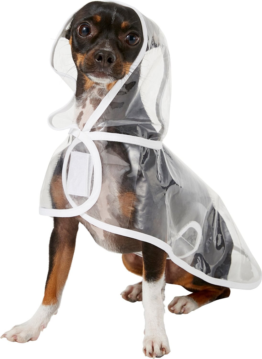 FRISCO Lightweight Clear Vinyl Dog Raincoat, XSmall