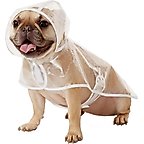 Frisco Clear Vinyl Dog Raincoat, Medium