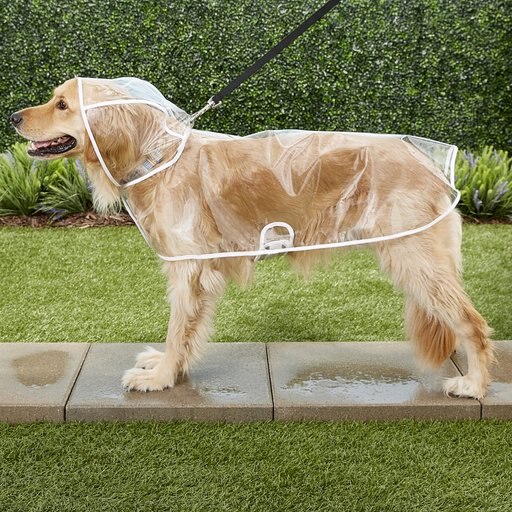 Frisco Lightweight Clear Vinyl Dog Raincoat, Medium