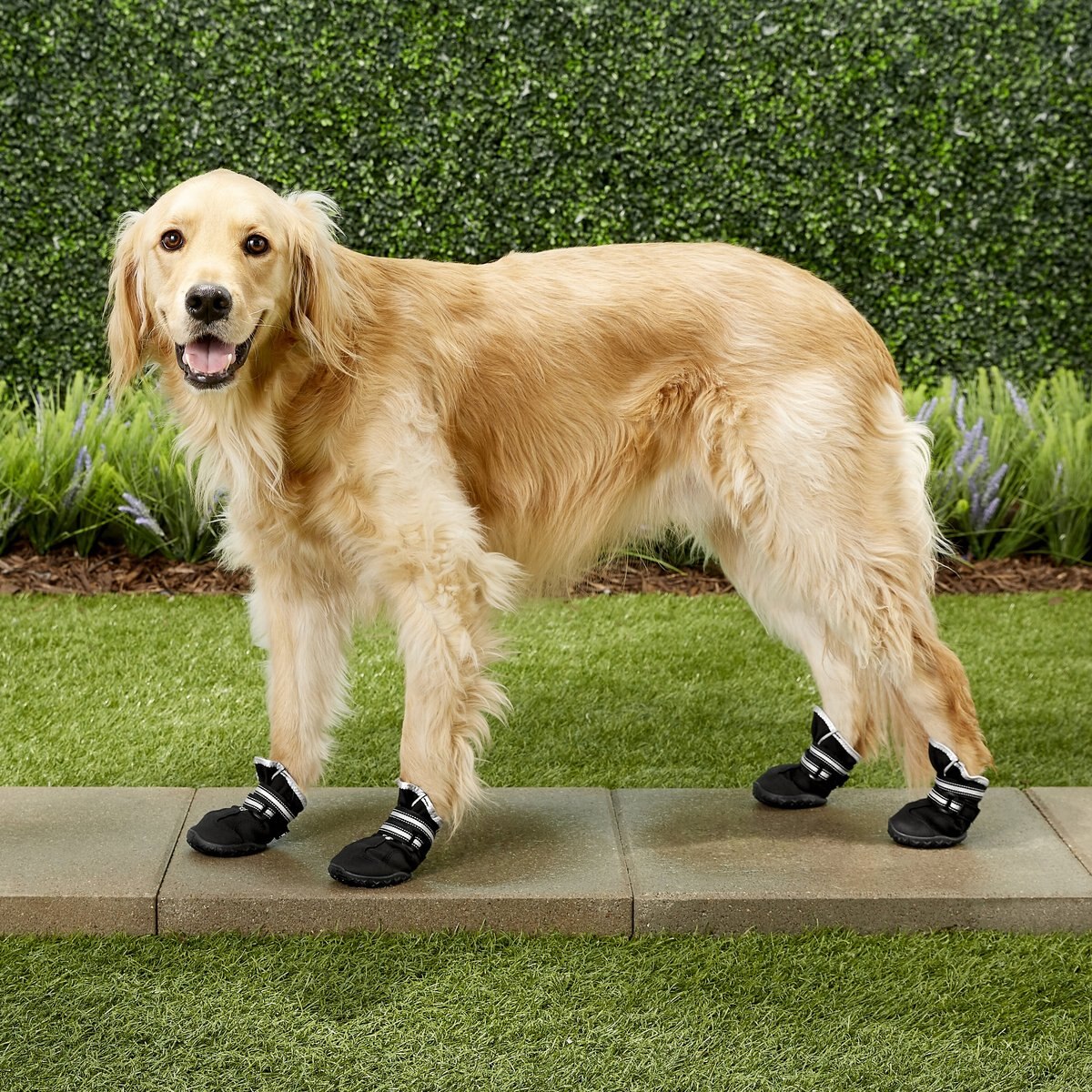 FRISCO AntiSlip Water Resistant Reflective Dog Boots, Size 6, 4 count