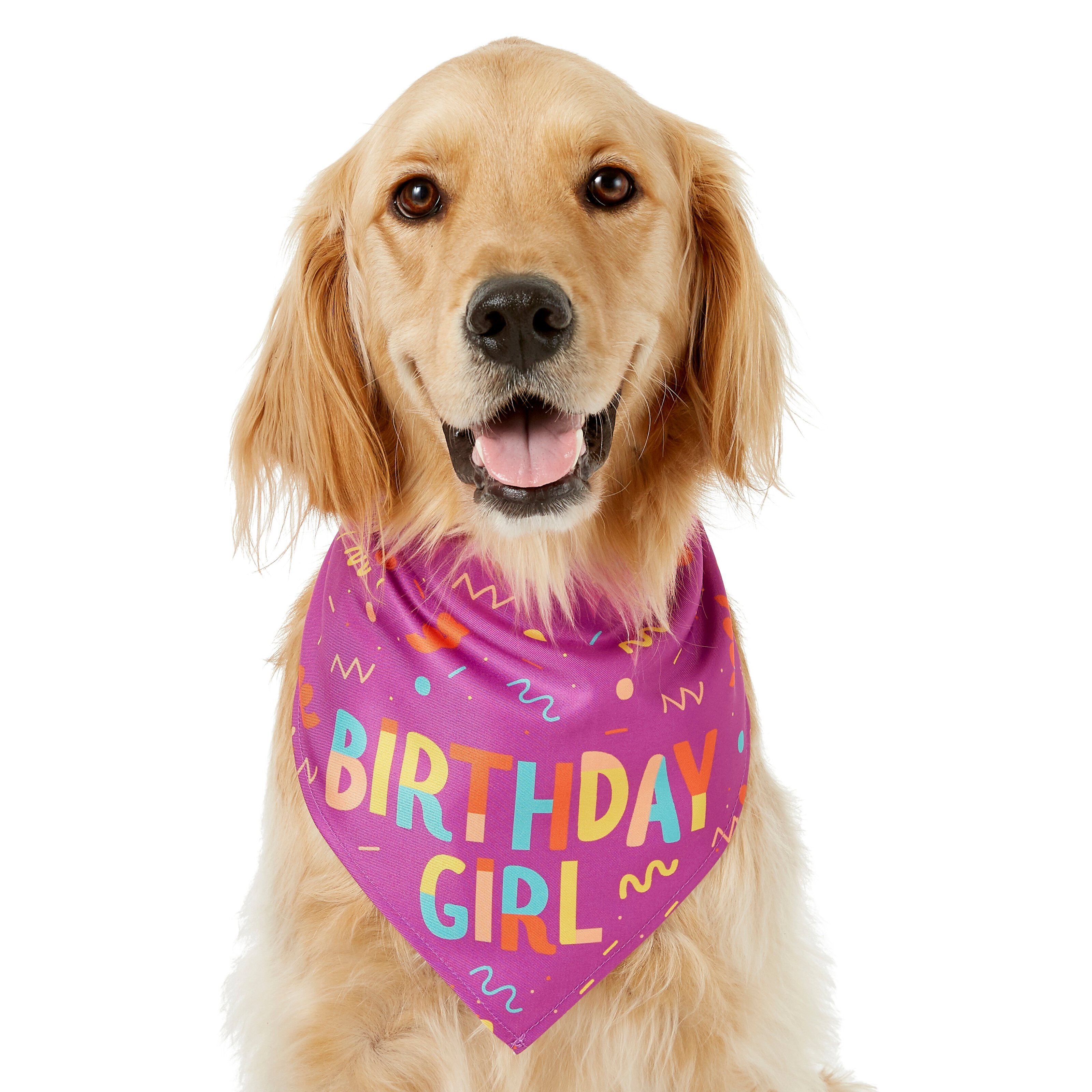 Frisco Birthday Girl Dog & Cat Bandana