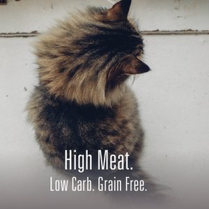 Meat Mates Beef Freeze-Dried Raw Cat Treats, 1.7-oz bag