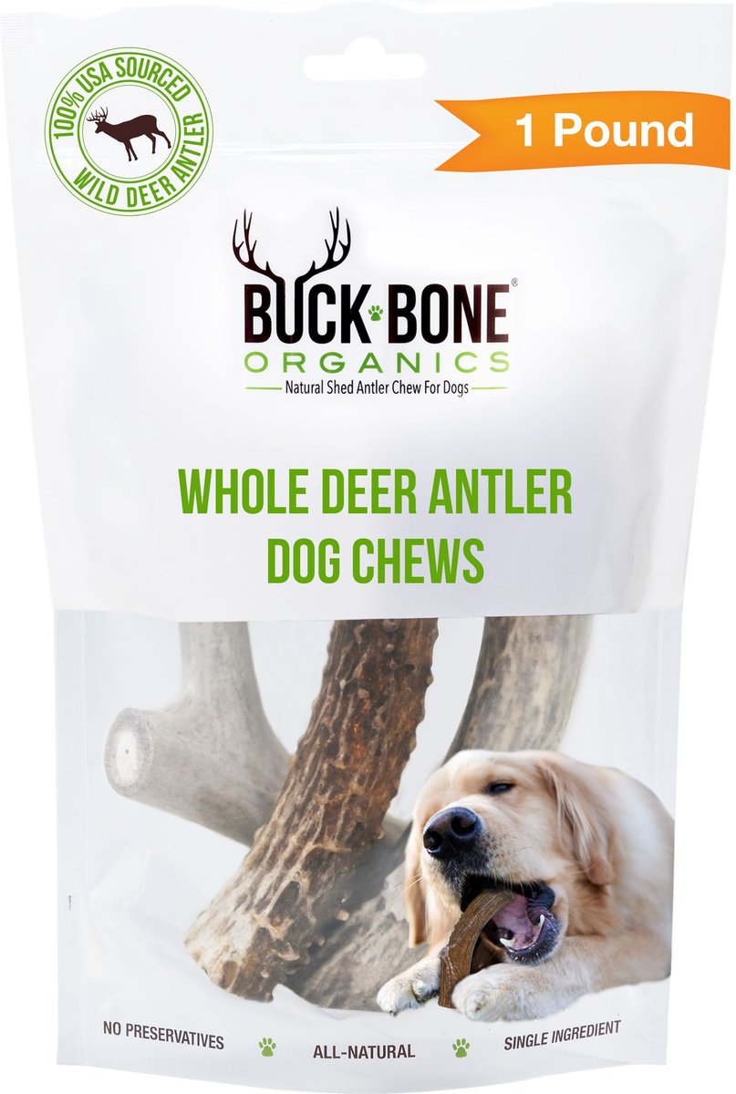 Are Deer Antlers Safe For Dogs?