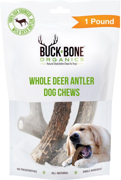 is deer antler safe for dogs to chew on