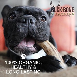 Buck Bone Organics Whole Deer Antlers Dog Chews, 1-lb bag