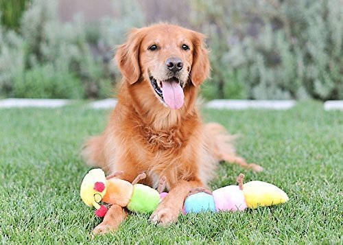 top paw caterpillar dog toy