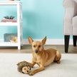 ZippyPaws Warriorz Helena the Heroine Dog Toy