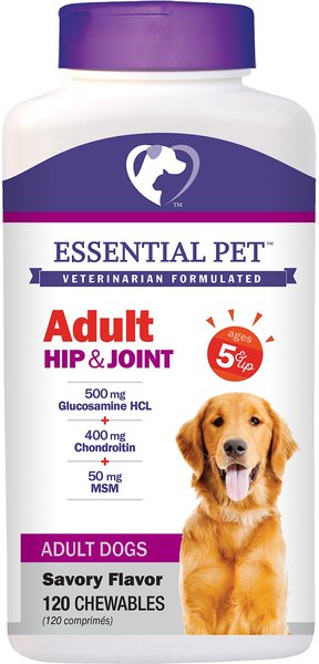 21st Century Essential Pet Adult Hip & Joint Savory Flavor Chewable Supplement for Dogs, 120 count slide 1 of 4