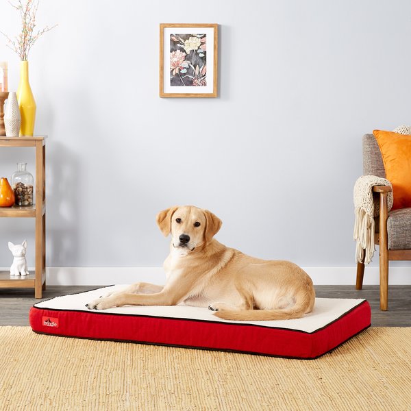 Brindle Waterproof Orthopedic Pillow Cat & Dog Bed w/Removable Cover, Red Sherpa, Large slide 1 of 6