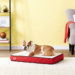 Brindle Waterproof Orthopedic Pillow Cat & Dog Bed with Removable Cover, Red Sherpa, Medium