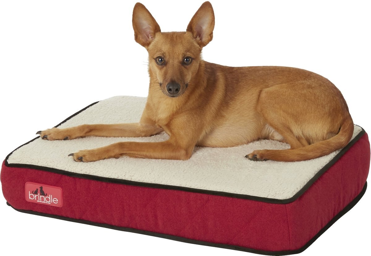 BRINDLE Waterproof Orthopedic Pillow Cat & Dog Bed with Removable Cover