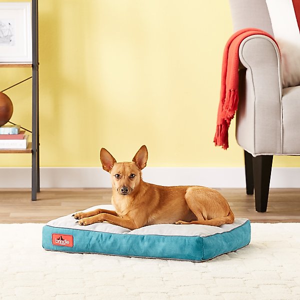 Brindle Soft Orthopedic Pillow Cat & Dog Bed w/Removable Cover, Teal, 22 x 16 in slide 1 of 6
