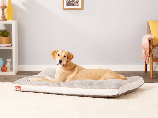 Brindle Soft Orthopedic Pillow Cat & Dog Bed with Removable Cover, Stone, 52 x 34 in slide 1 of 7