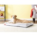 Brindle Soft Orthopedic Pillow Cat & Dog Bed with Removable Cover, Stone, 46 x 28 in