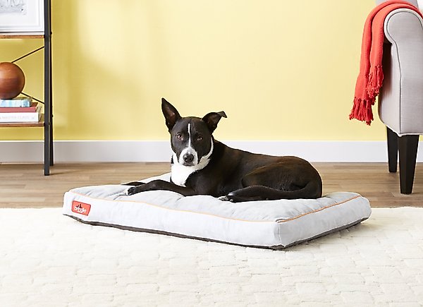 Brindle Soft Orthopedic Pillow Cat & Dog Bed with Removable Cover, Stone, 34 x 22 in slide 1 of 7