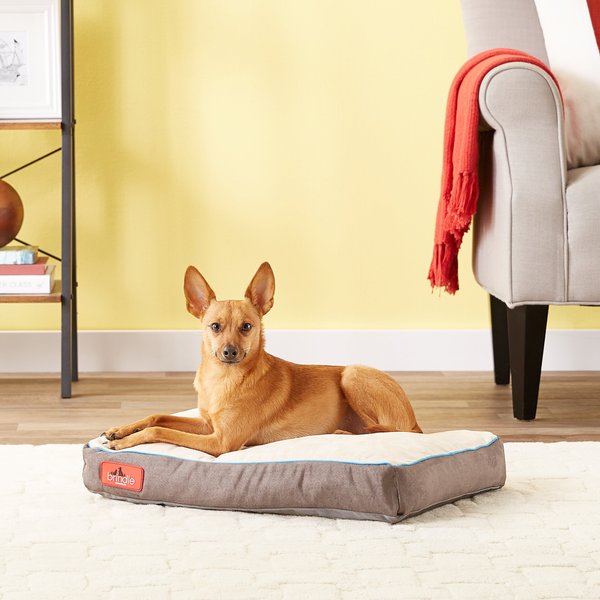Brindle Soft Orthopedic Pillow Cat & Dog Bed w/Removable Cover, Khaki, 22 x 16 in slide 1 of 7