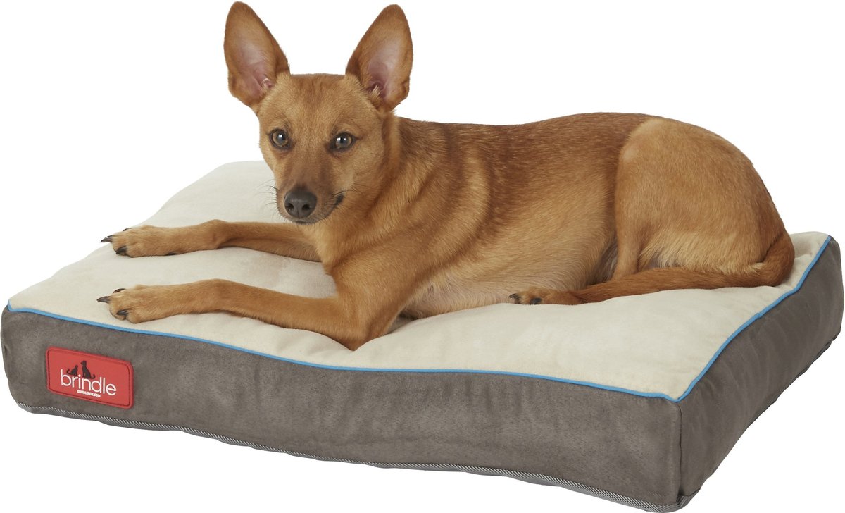 brindle dog bed cover