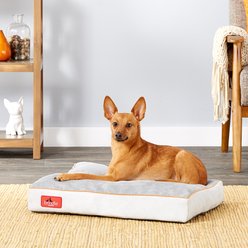 Brindle Soft Orthopedic Pillow Cat & Dog Bed with Removable Cover, Stone, 22 x 16 in