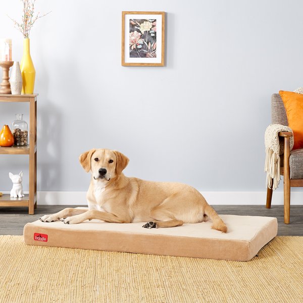 FRISCO Plush Orthopedic Pillowtop Dog Bed w/Removable Cover, Beige, X