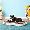 Brindle Plush Orthopedic Pillow Cat & Dog Bed w/Removable Cover, Charcoal Black, Medium