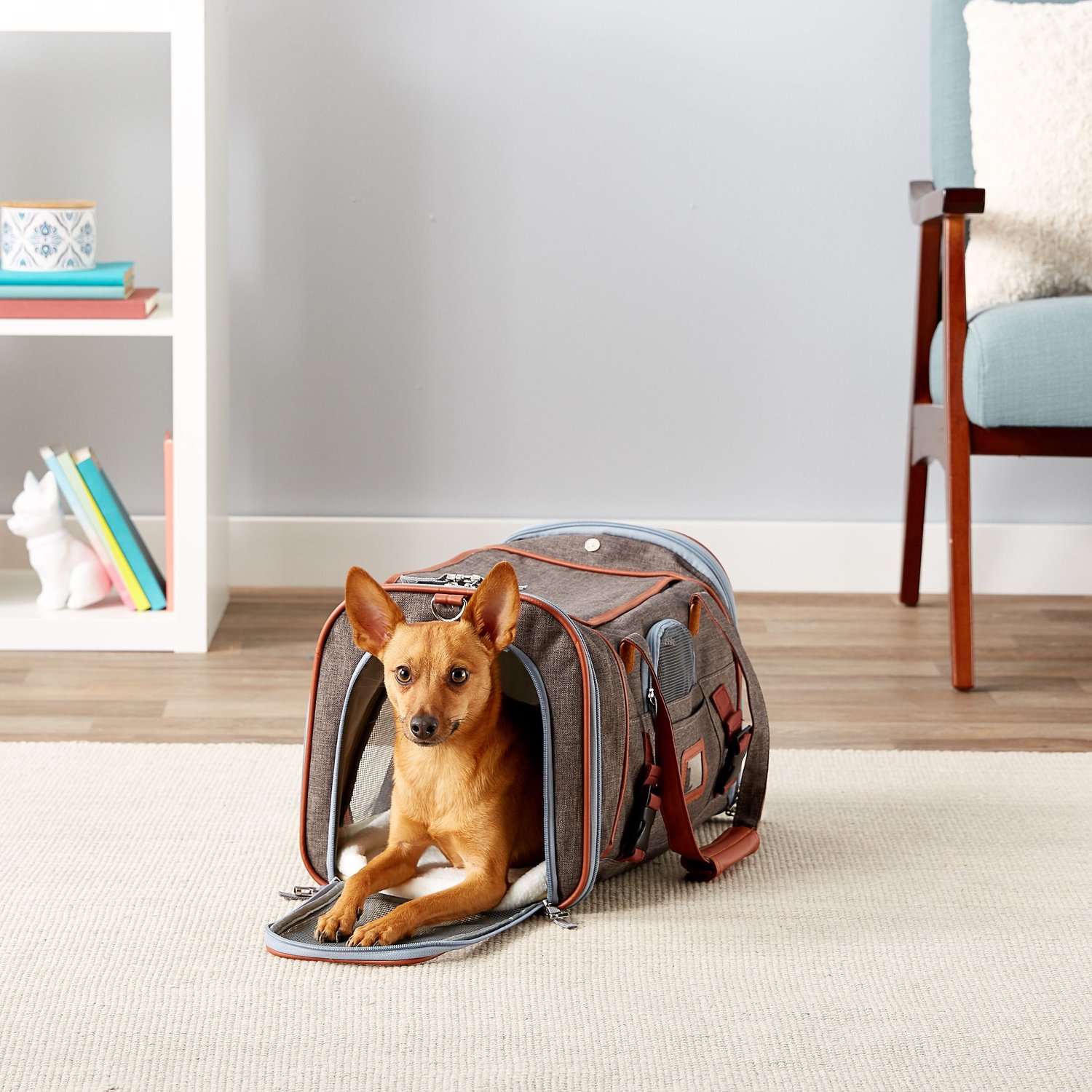 MR. PEANUT'S Gold Series AirlineApproved Dog & Cat Carrier Bag