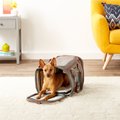 Mr. Peanut's Gold Series Expandable Airline-Approved Dog & Cat Carrier