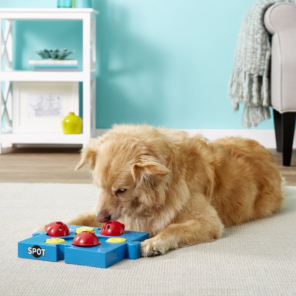 Ethical Pet Zooyoos Dog Toy