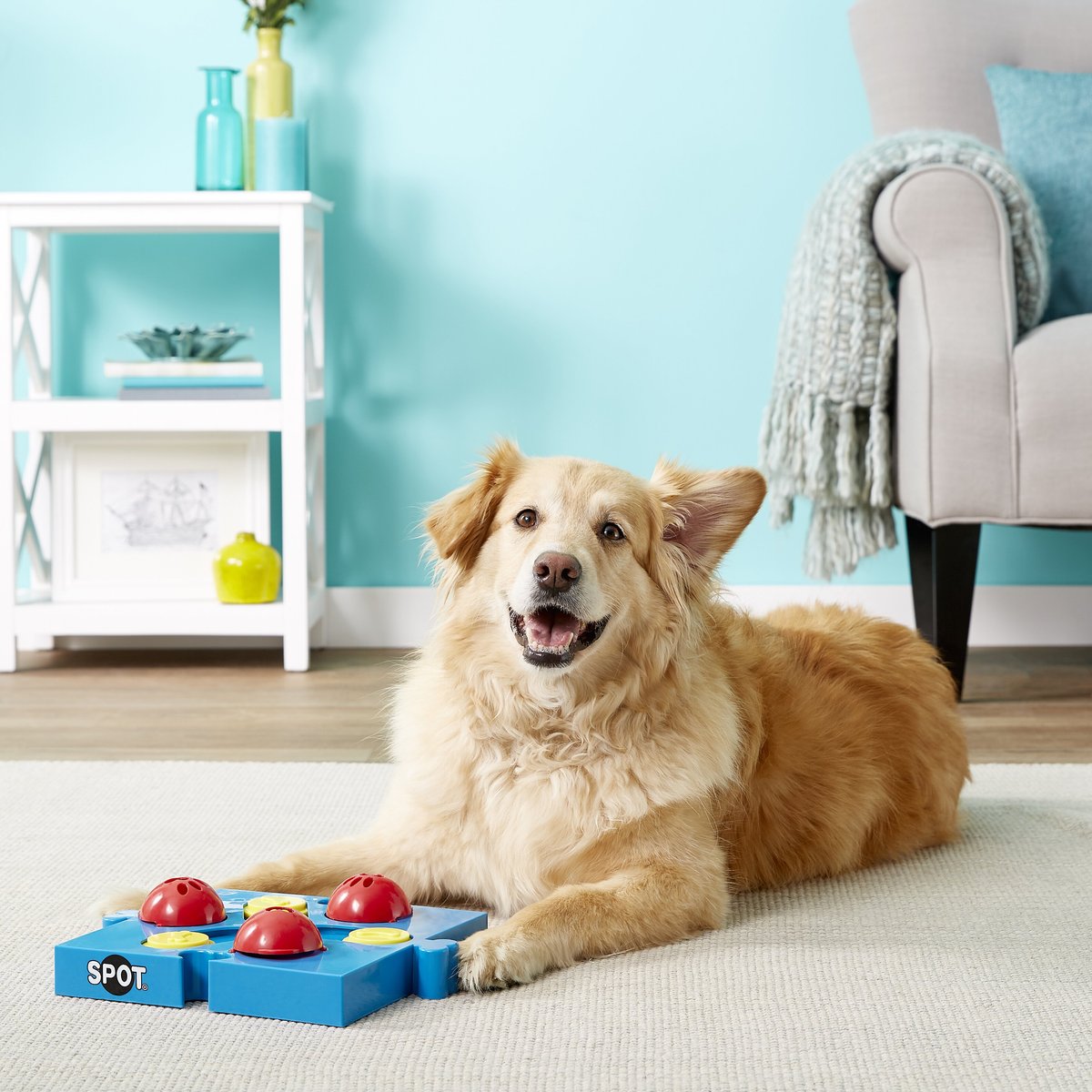 Ethical Pet Seek-A-Treat Flip N Flap Puzzle Dog Toy