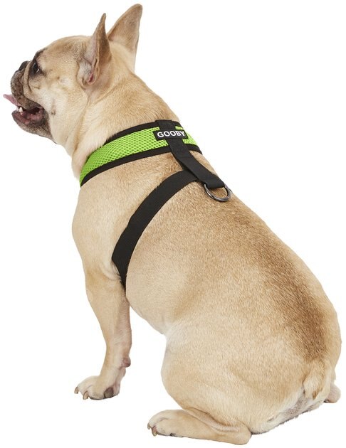 kmart small dog harness