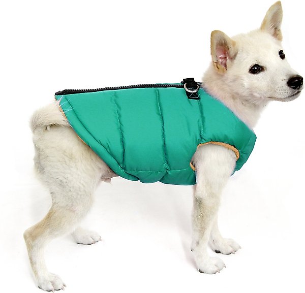Show full view: Gooby Padded Dog Vest, Turquoise, Medium slide 9 of 10