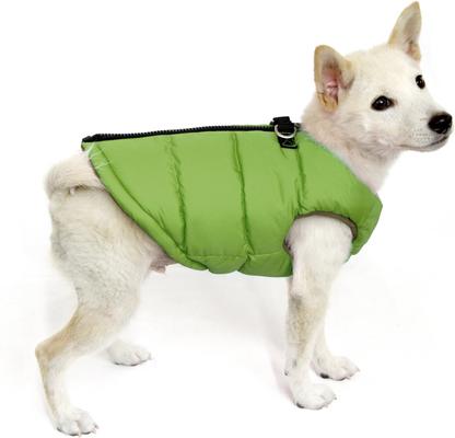 Show full view: Gooby Padded Dog Vest, Green, Large slide 10 of 11