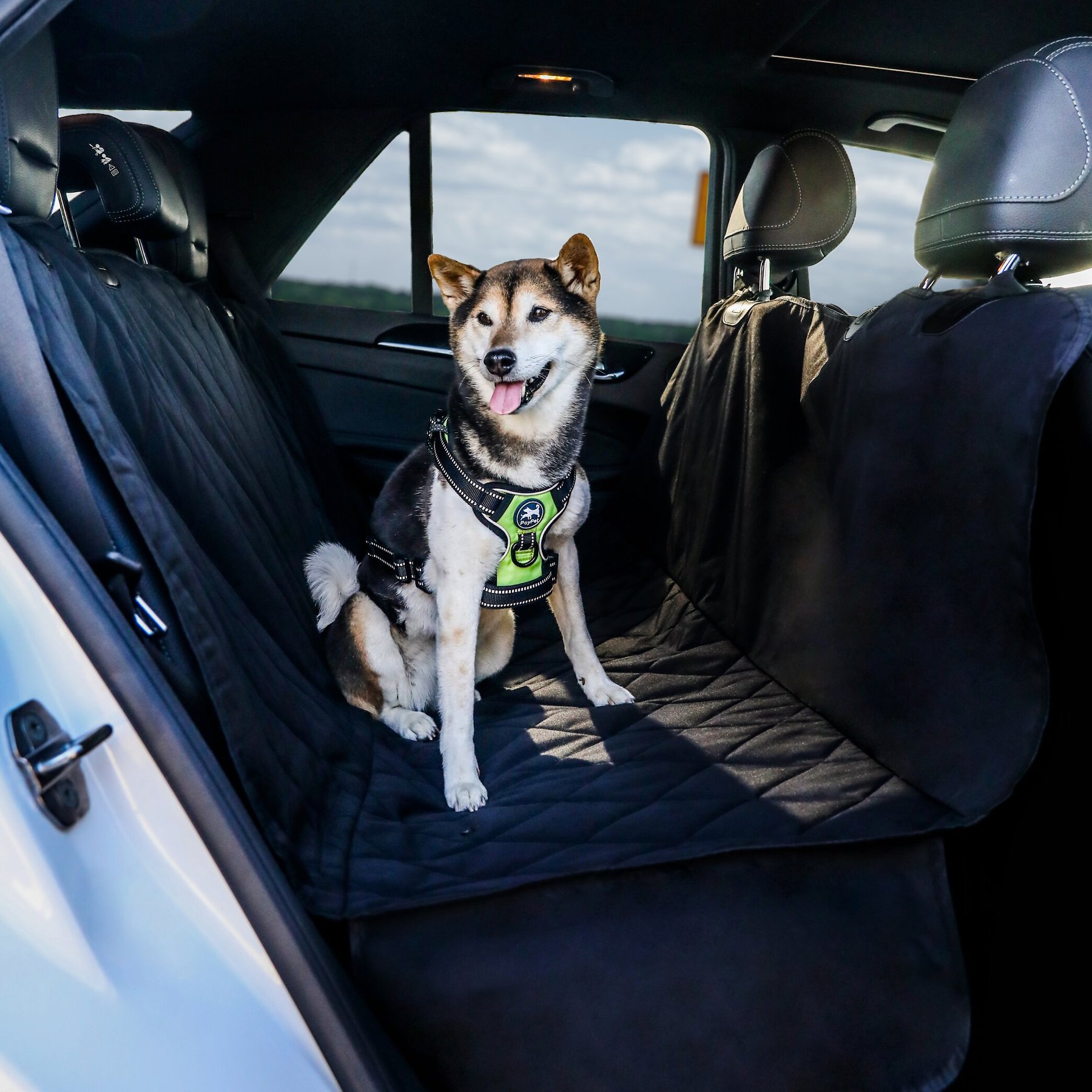 Original Pet Back Seat Cover for Cars, Trucks, and SUVs – BarksBar