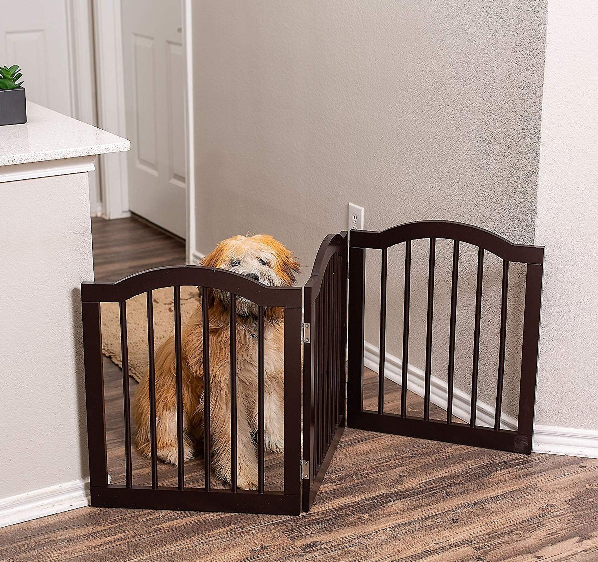 BEST Traditional Arch Pet Gate, Espresso, 24in, 3Panel