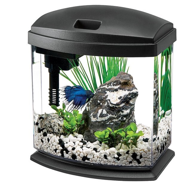 AQUEON LED MiniBow Aquarium Starter Kit with LED Lighting, Black, 1gal