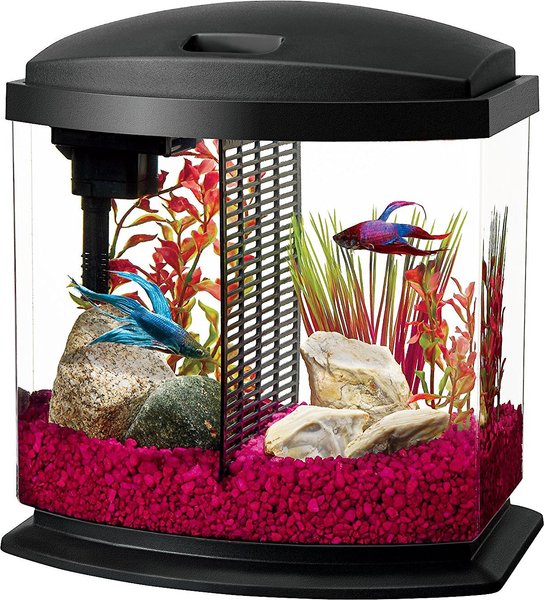 Discontinued AQUEON LED BettaBow Aquarium Starter Kit with LED