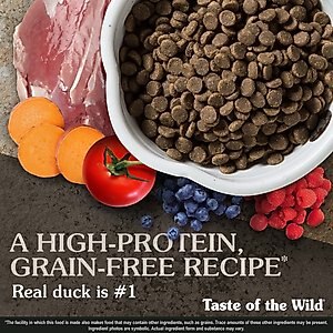 Taste of the Wild Wetlands Grain-Free Dry Dog Food, 28-lb bag