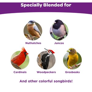 Kaytee Nut & Fruit Blend Wild Bird Food, 5-lb