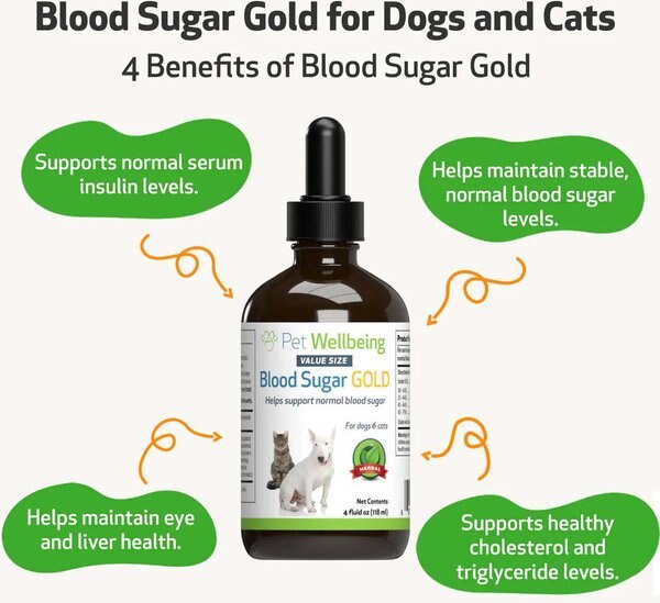 Pet Wellbeing Blood Sugar GOLD Bacon Flavored Liquid Diabetes Supplement for Dogs