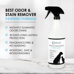 NonScents Pet Odor & Stain Remover Spray, 32-oz slide 2 of 8