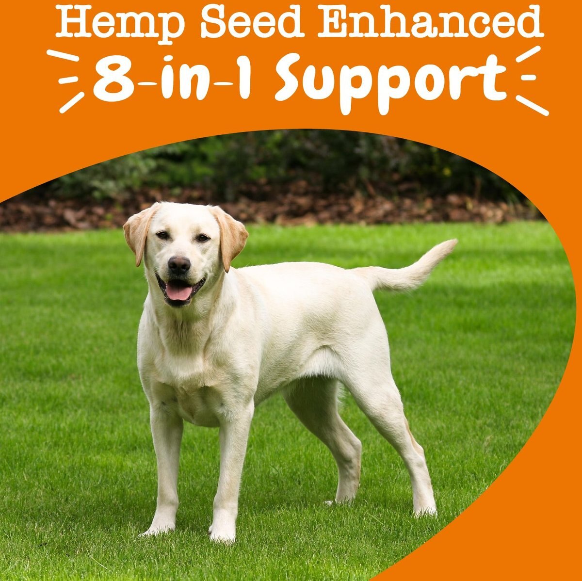 ZESTY PAWS Hemp Elements 8-in-1 Bites Chicken Flavored Soft Chews ...