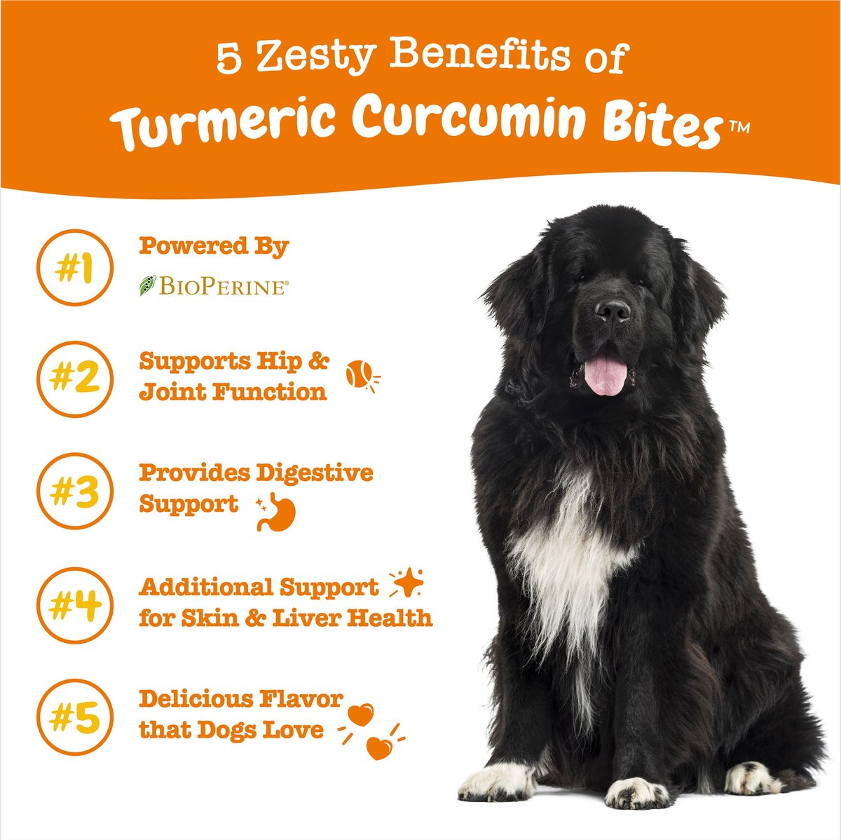 ZESTY PAWS Turmeric Curcumin Bites Bacon Flavored Soft Chews