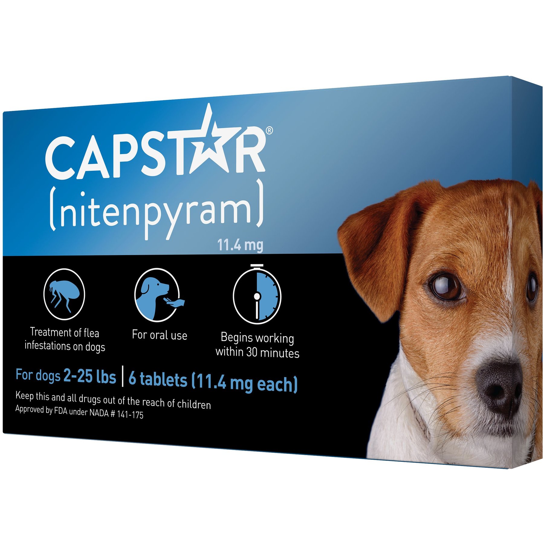 Capstar oral flea medication sales for dogs