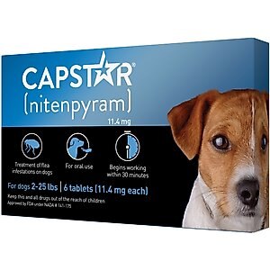 chewy flea medication for dogs