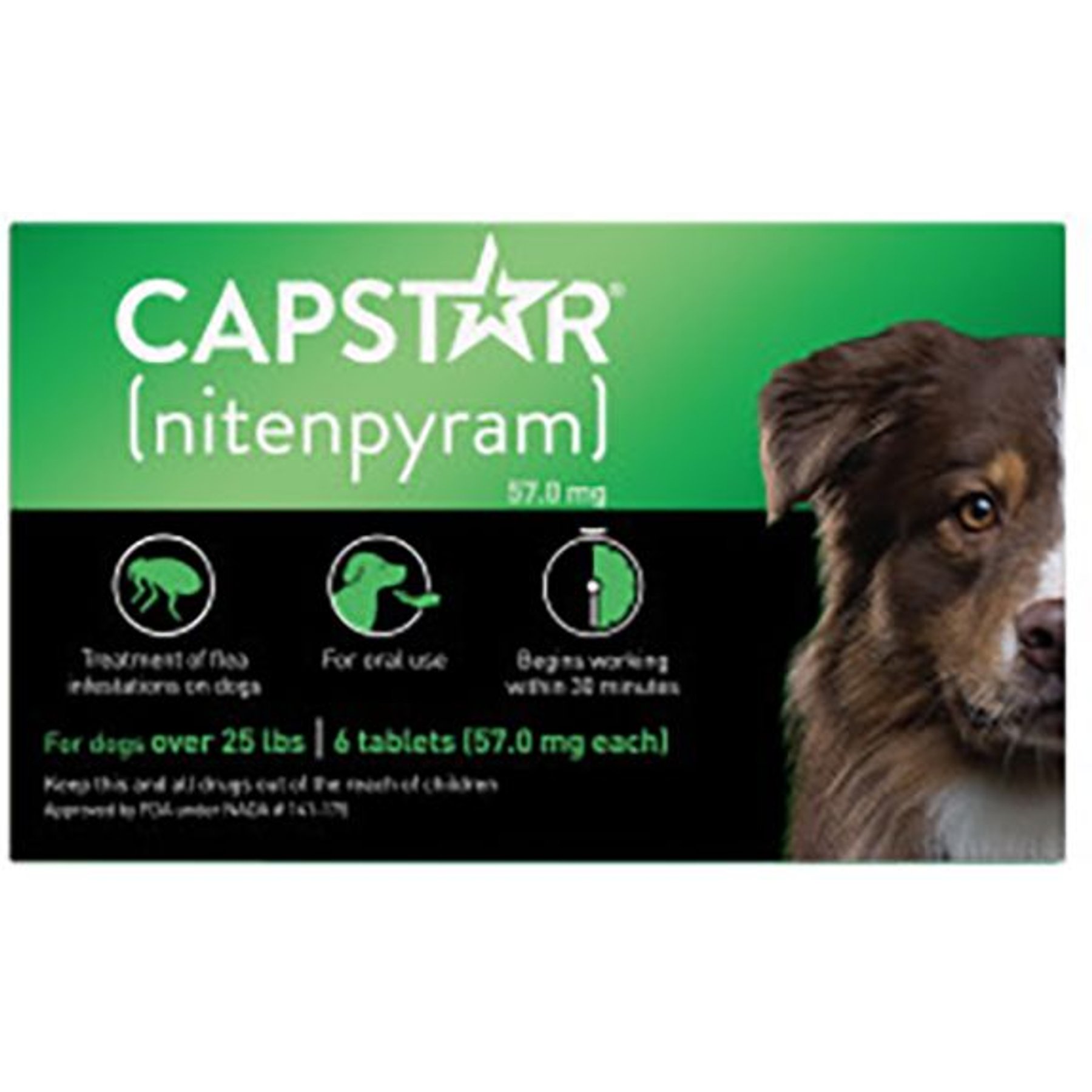 Capstar chewy sale