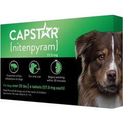 Best otc store dog flea medicine