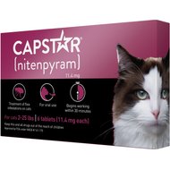 chewy capstar cat