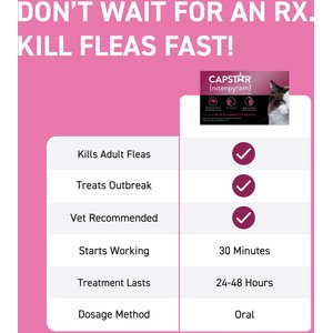 View of 10 Best Flea & Tick Treatments for Cats 2024: According to Reviews | Chewy