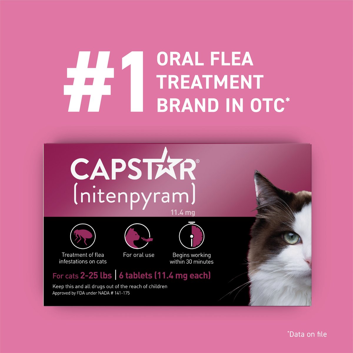 CAPSTAR Flea Oral Treatment for Cats, 2-25 lbs, 6 Tablets - Chewy.com